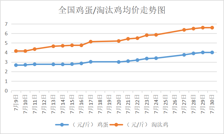 北京大洋路雞蛋今日行情，探尋內(nèi)心平靜的雞蛋之旅