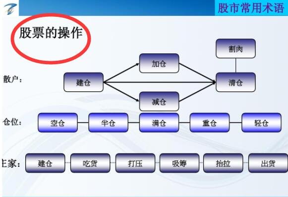 科技賦能股市，引領(lǐng)你進(jìn)入炒股票的新世界！